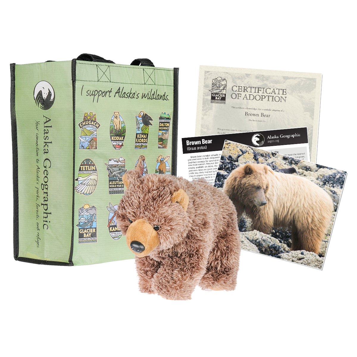 Adopt a Grizzly Bear  Symbolic Adoptions from WWF