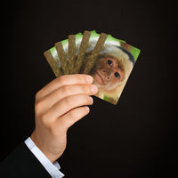 Capuchin Monkey Deck of Cards