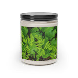 Ferns in the Forest Scented Candle, 9oz