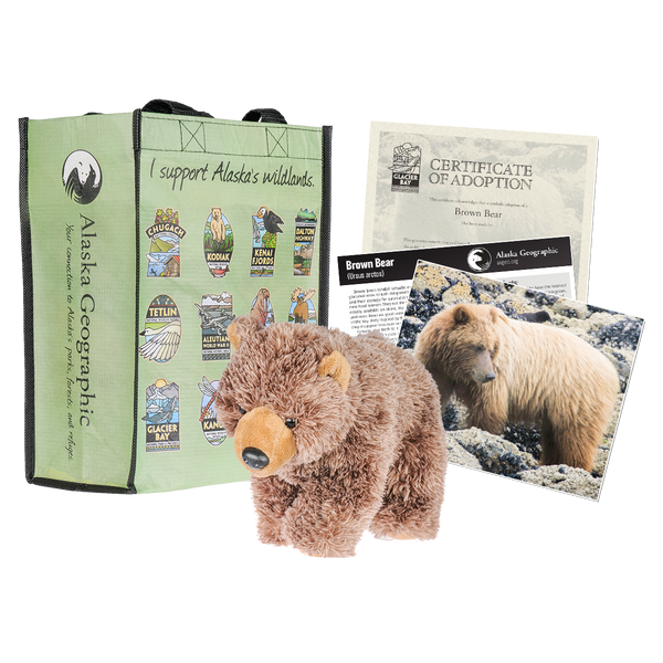 Photo of kit includes plush bear, photo of bear, certificate of adoption, and recycled bag