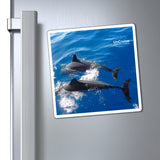 Hawaiian Dolphins Magnet